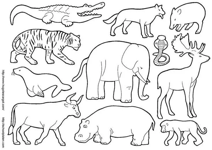 animales para colorear | DIBUJAR.....GRAFOMOTRICIDAD | Pinterest ...