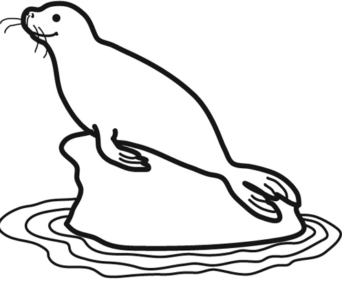 Foca de galapagos para dibujar - Imagui