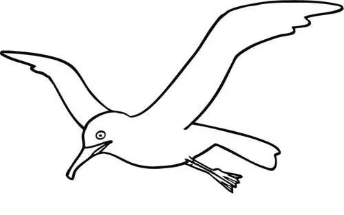 Animales para colorear: Gaviotas