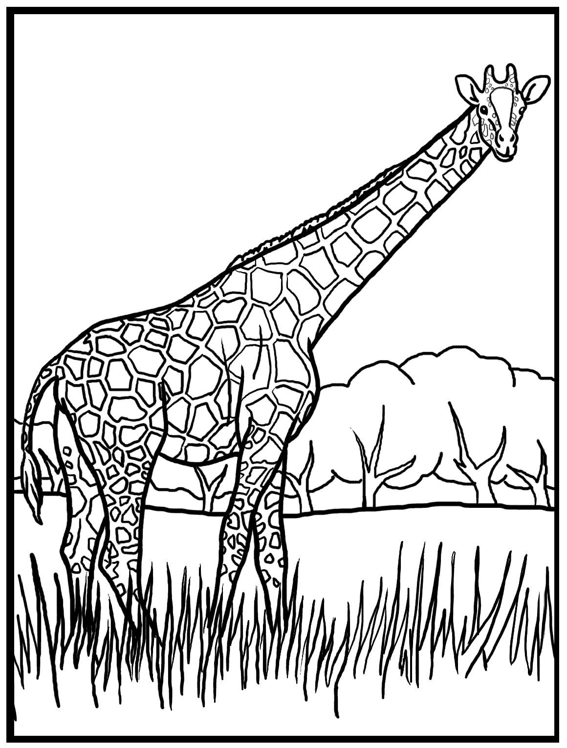 Animales para colorear: + jirafas