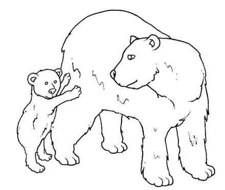 Imagenes • Oso para colorear