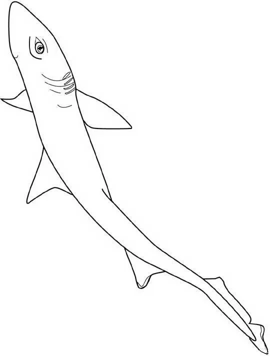 Animales para colorear: Peces de Mar