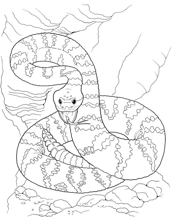 Animales para colorear: Serpientes de Cascabel Animales para colorear: Serpientes de Cascabel