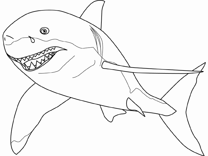 Animales para colorear: Tiburón blanco