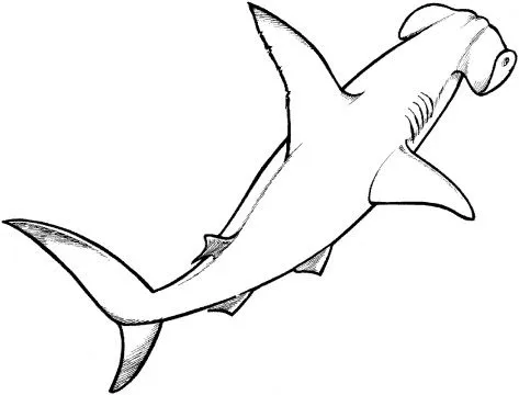 Animales para colorear: Tiburón martillo