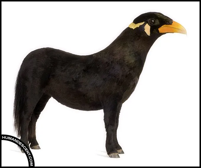 animales combinados - Taringa!