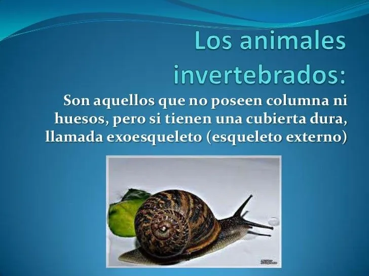 animales-con-hueso-y-animales- ...