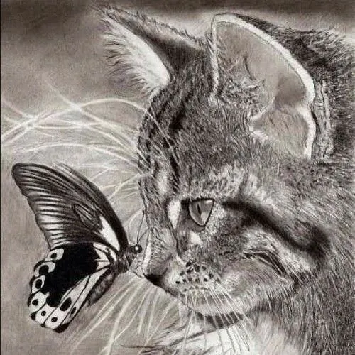 De animales va la cosa(:: Animales Cuquis y Salvajes De animales va la cosa(:: Animales Cuquis y Salvajes