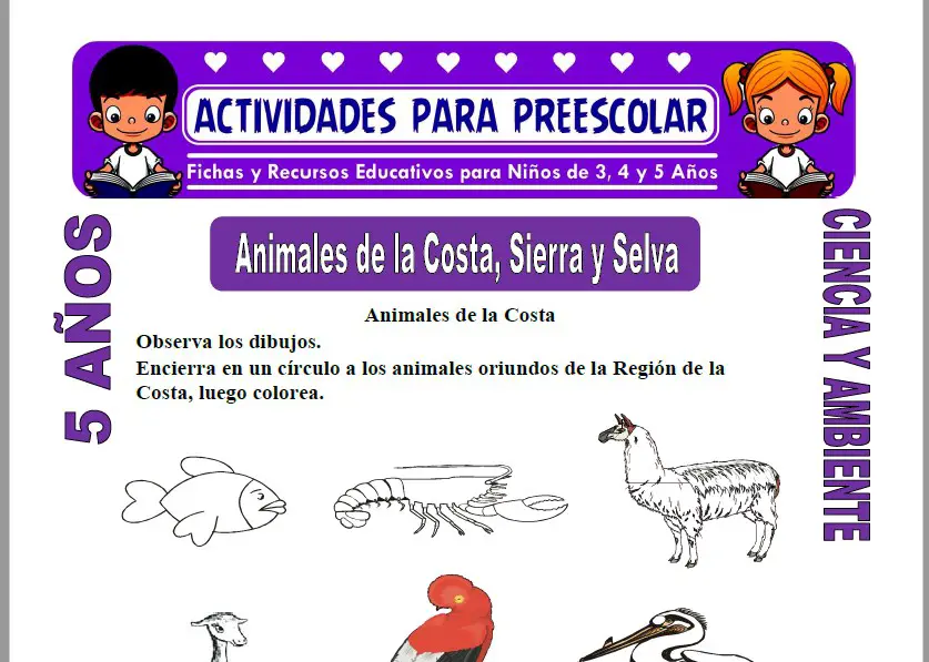 Animales de la Costa, Sierra y Selva para Niños de 5 Años | 2023 Animales de la Costa, Sierra y Selva para Niños de 5 Años | 2023