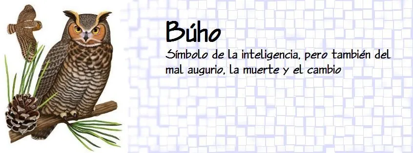 Animales en los cuentos de hadas (3) Simbolismo del búho y la ...