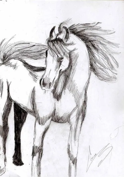Dibujos de caballos salvajes a lapiz - Imagui Dibujos de caballos salvajes a lapiz - Imagui