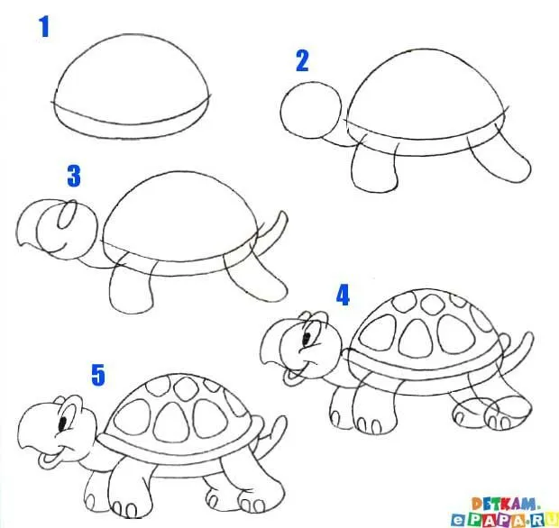 animales dibujar facil step | Cómo dibujar una tortuga? | DIBUJOS ... animales dibujar facil step | Cómo dibujar una tortuga? | DIBUJOS ...