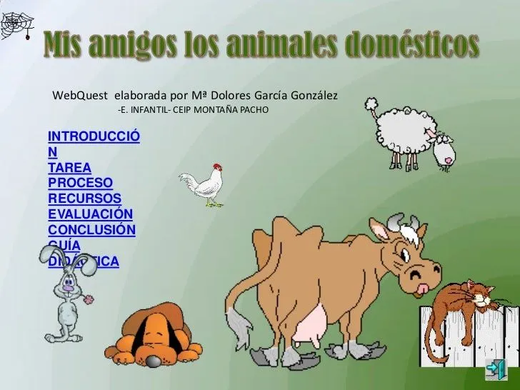 animales domesticos