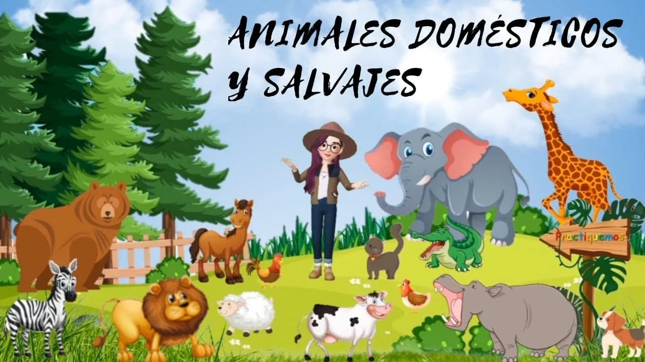 ANIMALES DOMESTICOS 
