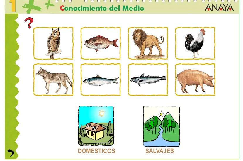 Animales domésticos y animales salvajes | MI CLASE DE PRIMERO Animales domésticos y animales salvajes | MI CLASE DE PRIMERO