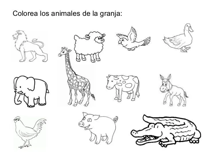 Animales domesticos y de granja para colorear - Imagui