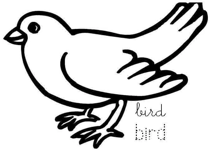 Mi cuadernillo de inglés: Animales domésticos para colorear Mi cuadernillo de inglés: Animales domésticos para colorear