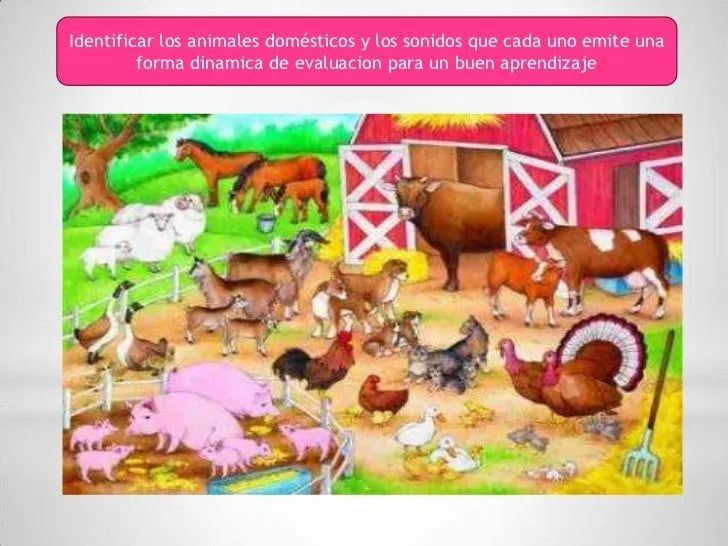 animales-domesticos-por-jhoana ...