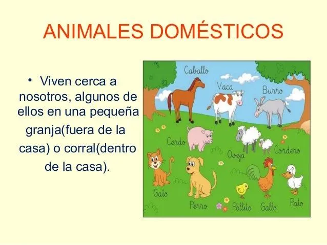 animales-domesticos-y-salvajes ...