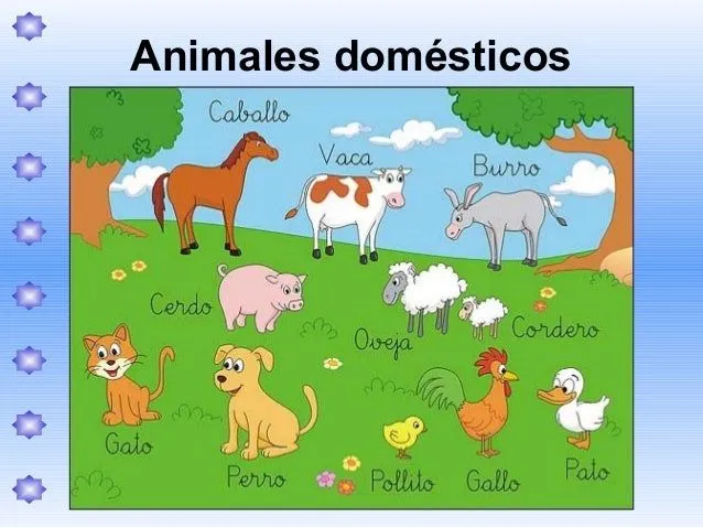 animales-domsticos-y-salvajes- ...