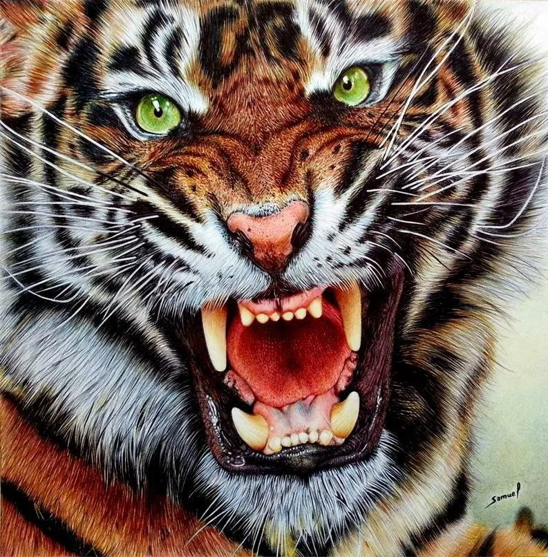 animales | duendevisual | Página 14