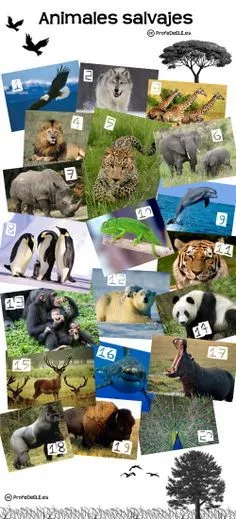 Animales en español