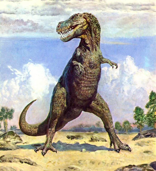 Animales extintos: Tyrannosaurus Rex (hace 65 millones de años ...