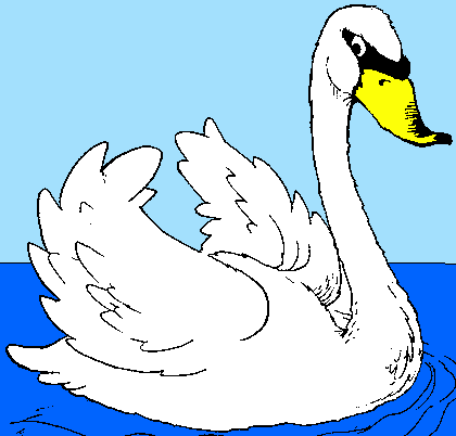 ANIMALES FOTOS DIBUJOS IMAGENES: FOTOS DE CISNES ANIMALES FOTOS DIBUJOS IMAGENES: FOTOS DE CISNES