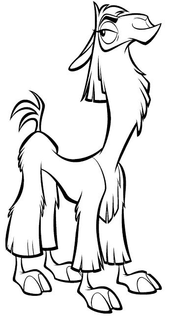 ANIMALES FOTOS DIBUJOS IMAGENES: FOTOS DE LLAMAS