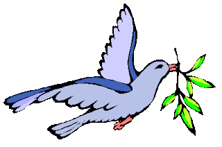 ANIMALES FOTOS DIBUJOS IMAGENES: FOTOS DE PALOMAS Y DIBUJOS