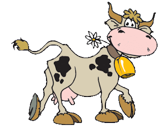 ANIMALES FOTOS DIBUJOS IMAGENES: FOTOS DE VACAS ANIMALES FOTOS DIBUJOS IMAGENES: FOTOS DE VACAS