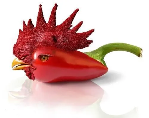 animales fruta - Buscar con Google | Animales de frutas ... animales fruta - Buscar con Google | Animales de frutas ...