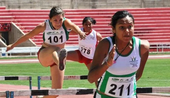 Los animales nos ganan: superan a los atletas olímpicos en ...