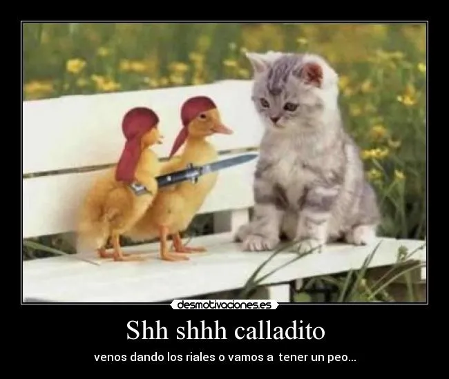 Animales graciosos con frases graciosas - Imagui