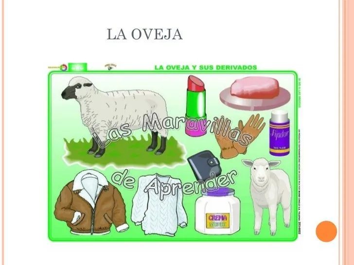 los-animales-de-la-granja-y- ...