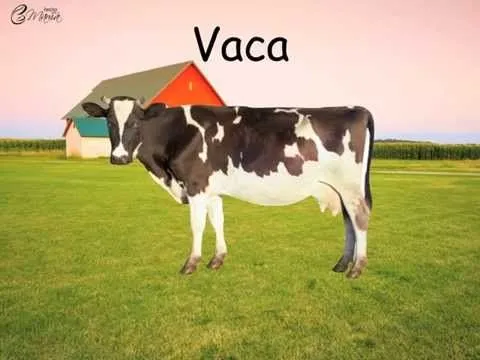 LOS ANIMALES DE LA GRANJA - Video educativo para niños HechoxMamá ... LOS ANIMALES DE LA GRANJA - Video educativo para niños HechoxMamá ...