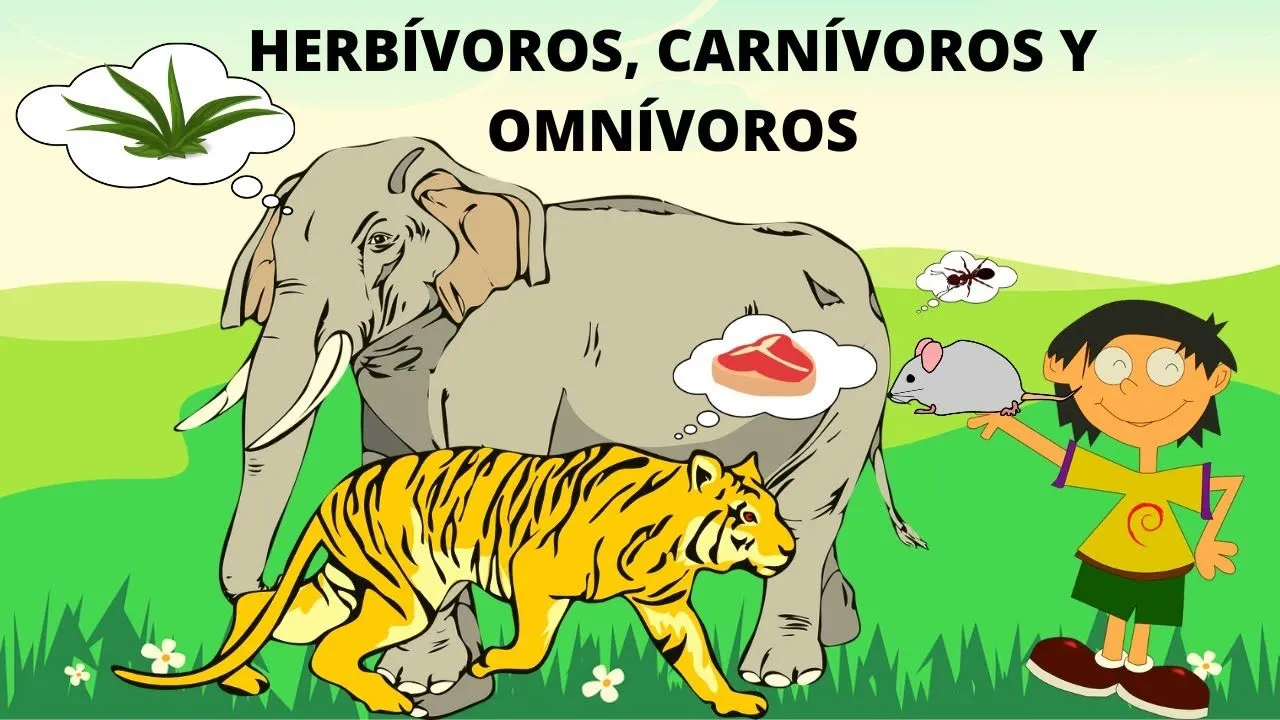 ANIMALES HERBÍVOROS, CARNÍVOROS U OMNÍVOROS. ANIMALES SEGÚN SU ALIMENTACIÓN - YouTube ANIMALES HERBÍVOROS, CARNÍVOROS U OMNÍVOROS. ANIMALES SEGÚN SU ALIMENTACIÓN - YouTube