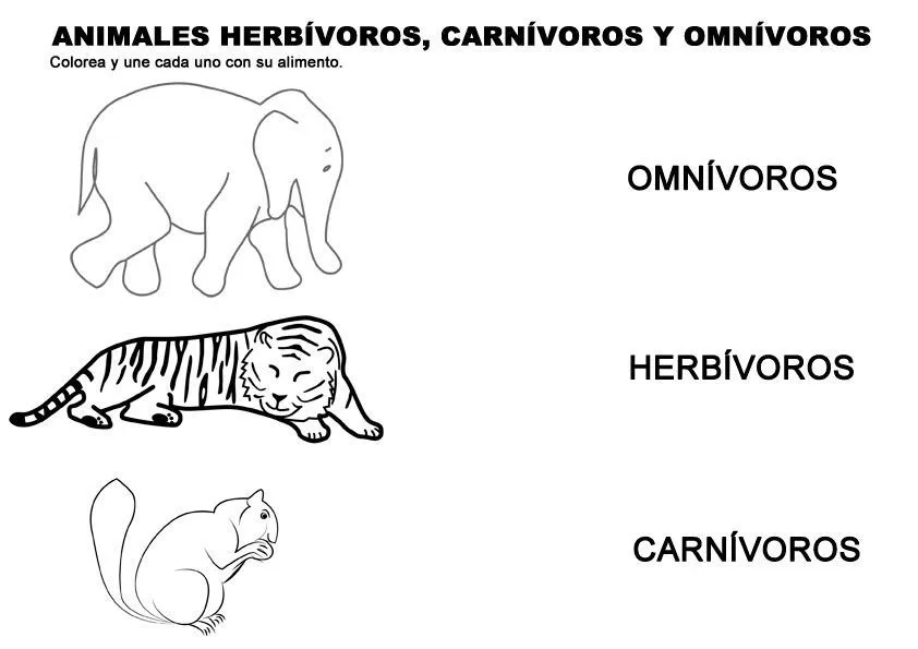 Animales herbívoros, carnívoros y omnívoros para niños de primaria. Animales herbívoros, carnívoros y omnívoros para niños de primaria.