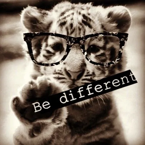 Animales hipster - nany