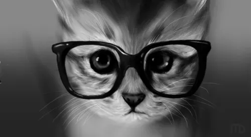 Animales hipster - nany