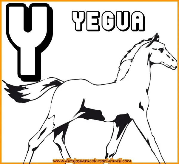 Animales con o - Imagui