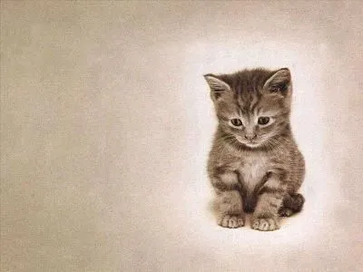 Los animales fueron imperfectos, largos de cola, tristes de cabeza. Los animales fueron imperfectos, largos de cola, tristes de cabeza.