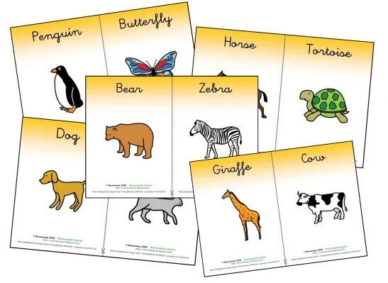 Todos los animales en inglés con dibujos - Imagui