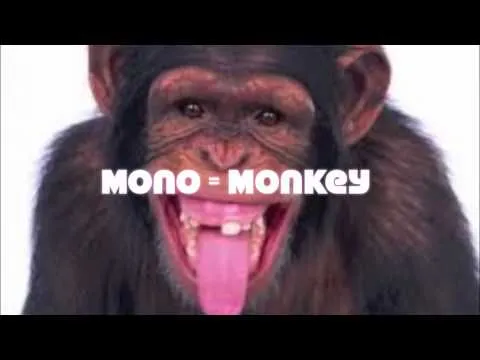 Animales en inglés - español - Lista con más de 201 animales ...
