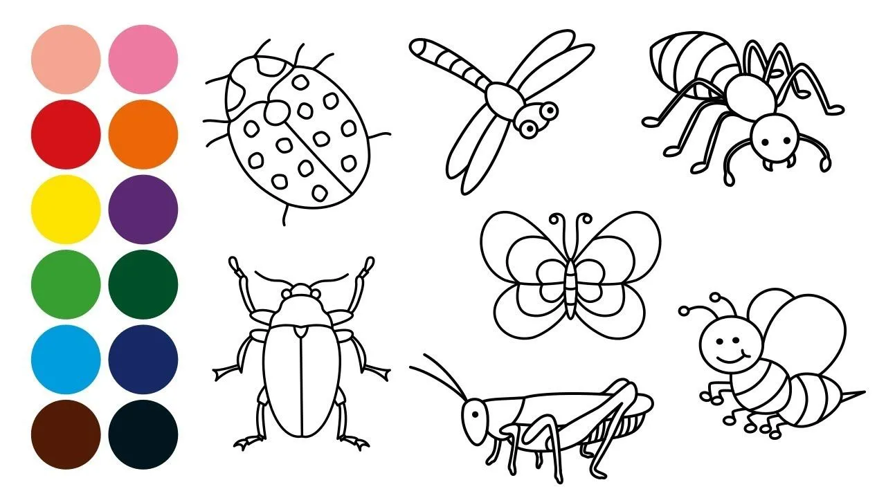 ANIMALES INSECTOS dibujar y colorear para niños - Dibujar animales con Mozart - YouTube ANIMALES INSECTOS dibujar y colorear para niños - Dibujar animales con Mozart - YouTube