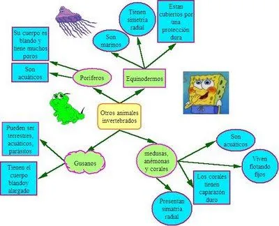 Animales invertebrados - Imagui