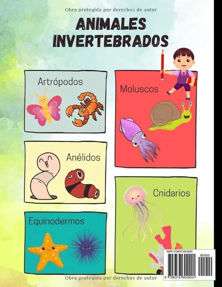 Animales Invertebrados: Libro de colorear educativo a partir de los 6 años  (Conoce que animales son invertebrados y Diviertete aprendiendo). (Spanish  Edition) : Zambrano Mora, Dora: Amazon.com.mx: Libros