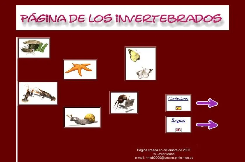 Animales Vertebrados | Tercer Ciclo Salesianos