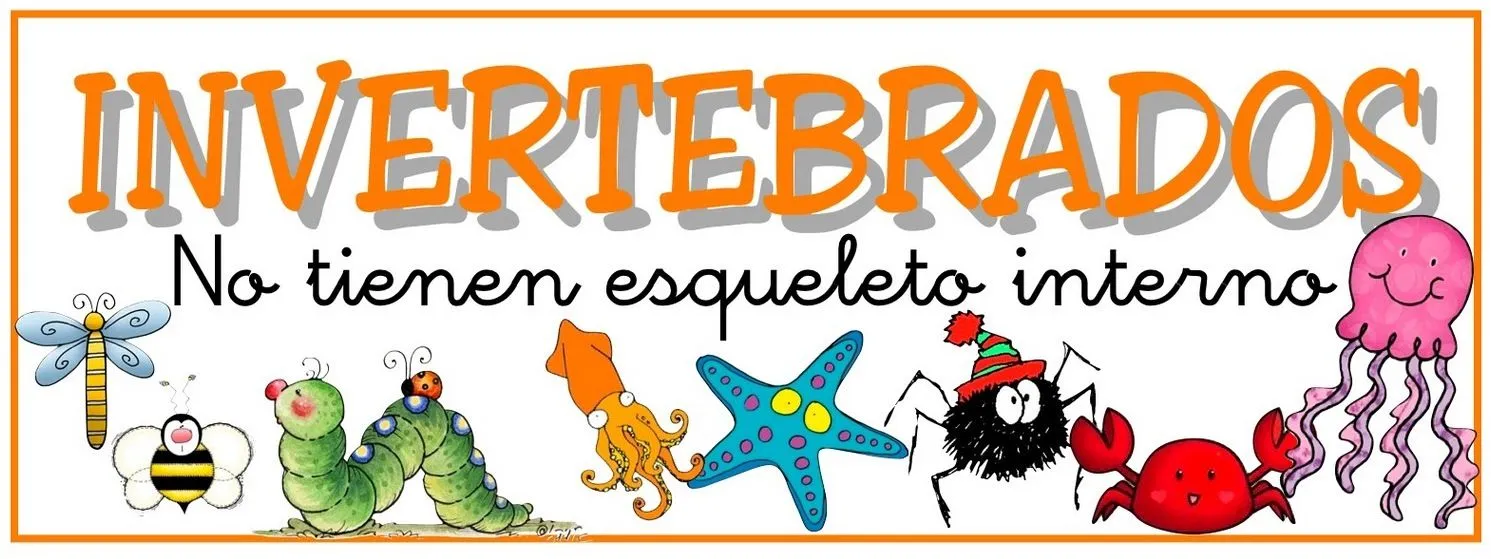 Animales vertebrado e invertebrados - Imagui Animales vertebrado e invertebrados - Imagui