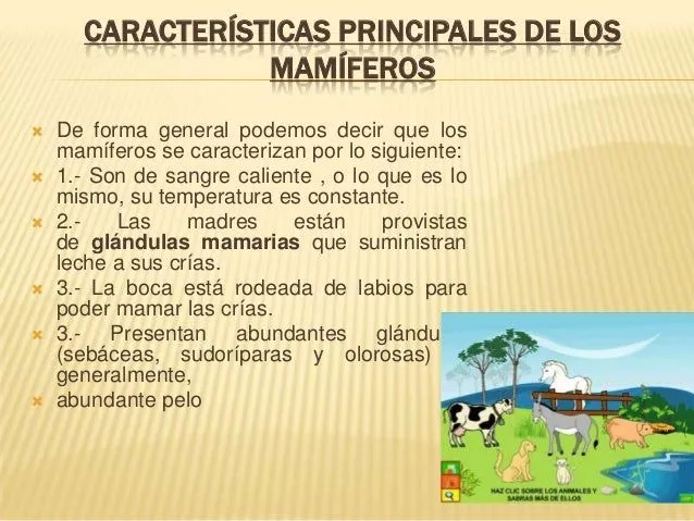 animales-mamferos-3-638.jpg?cb ...